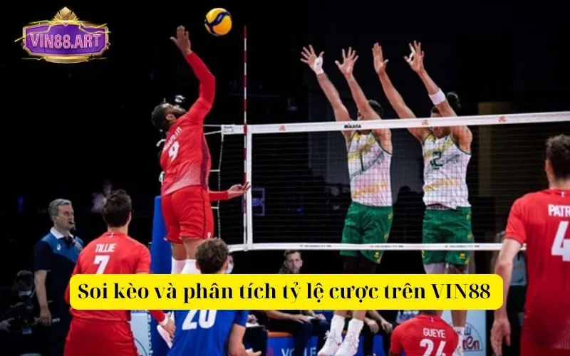 Soi kèo và phân tích tỷ lệ cược trên VIN88